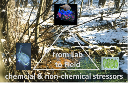 mStress Logo AG Seite